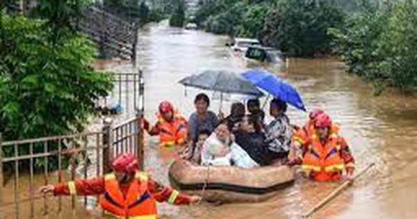 View - Tìm ăn các loại rau vị đắng sau sẽ rất tốt cho sức khỏe khi mưa bão, giá lạnh, chuyển mùa 