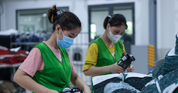 Không kịp tăng lương tối thiểu vùng vào đầu năm 2024