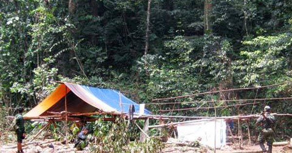 Thảm án 5 phu trầm bị sát hại và hành trình phá án giữa rừng sâu (P1): Vụ bắt cóc nơi hoang vắng