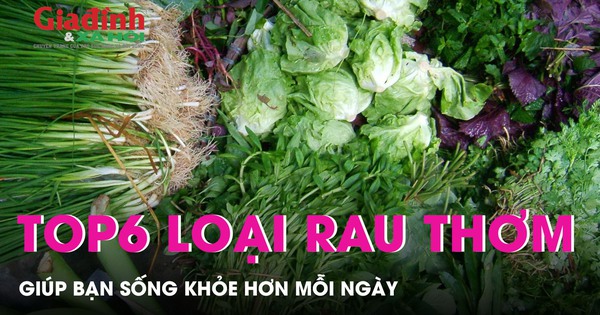 TOP 6 loại rau thơm giúp bạn sống khỏe hơn mỗi ngày