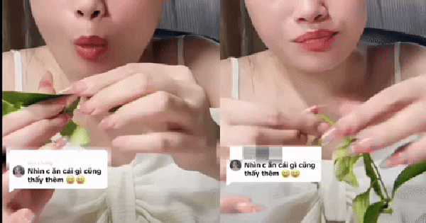 Gần 5 triệu người 'ứa nước miếng online' khi xem cô gái Bắc Giang mukbang cây nhà lá vườn