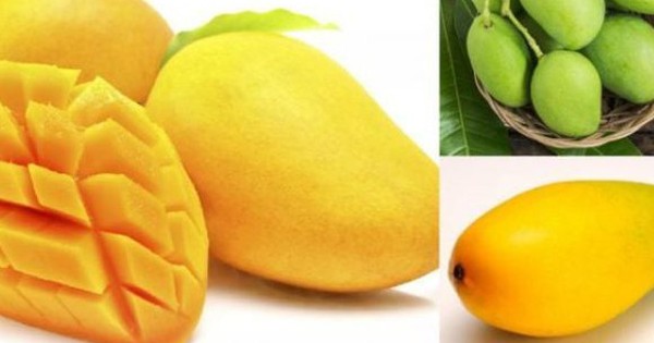 Mùa xoài đến, bất ngờ ăn xoài cách này sẽ giảm cân nhanh chóng