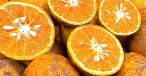 Lợi ích bất ngờ từ vỏ quýt sim, các món ngon từ vỏ quýt sim vừa dễ làm tại nhà vừa tốt cho sức khỏe