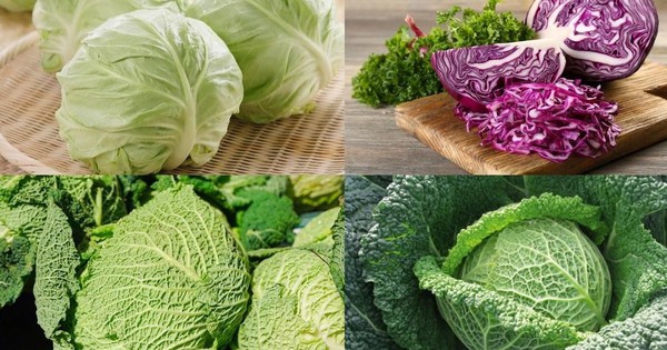 Cách ăn làm sạch máu trong cơ thể của người Nhật