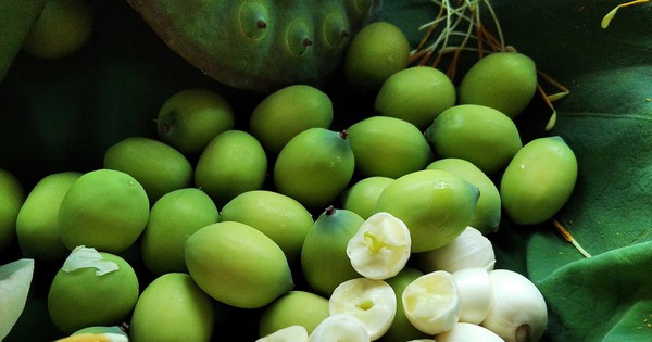 6 món ngon dễ làm từ hạt sen đang chính vụ giúp thanh nhiệt, mát gan, cải thiện mất ngủ ngày hè tốt cho cả nhà