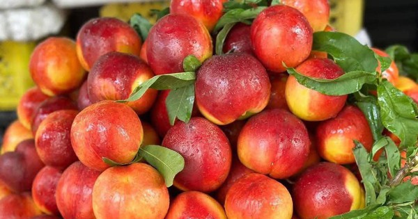 Quả đào vào mùa giá siêu rẻ, với vài mẹo nhỏ dễ biến tấu thành 5 món ngon giải nhiệt và ‘bắt trend’ mùa hè