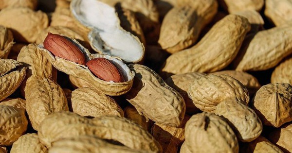 Đây là những thực phẩm các sĩ tử nên tránh ăn trước ngày thi để may mắn