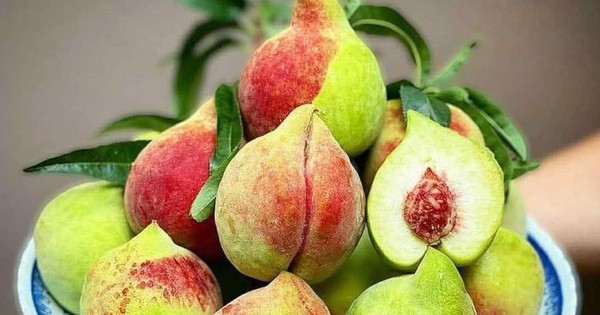 Đào mỏ quạ vào mùa giá siêu rẻ, cách đơn giản để chị em rủ nhau ‘săn’ hàng ngon, tránh hàng Trung Quốc