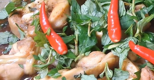 Mách bạn cách làm gà kho rau răm thơm ngon đơn giản, cực lạ miệng