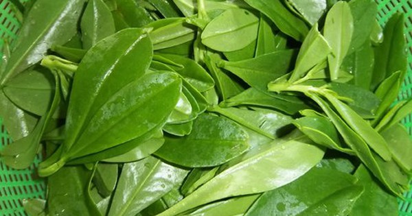 Canh rau sâm nấu tôm