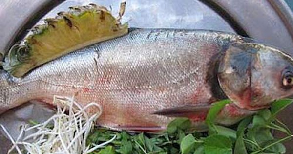 Có nên sử dụng cá mè trong chế độ ăn của người mắc bệnh xương khớp không?

