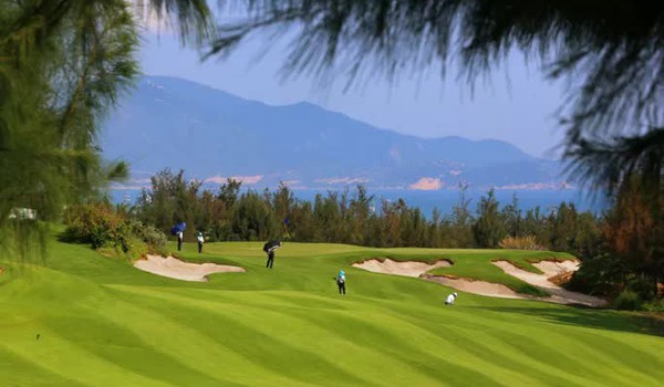 Tạm đình chỉ công tác Cục phó Cục thuế Bình Định chơi golf “lậu'