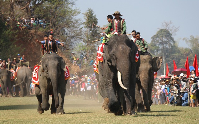 SGK viết sai về Hội đua voi ở Tây Nguyên: Nhà nghiên cứu văn hóa bức xúc