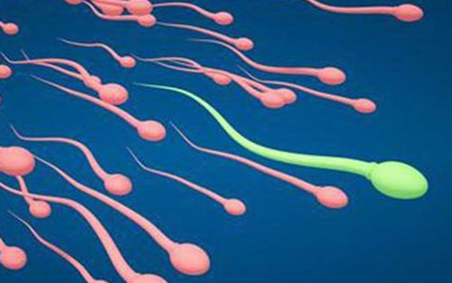 Đàn ông vô sinh dễ chết sớm