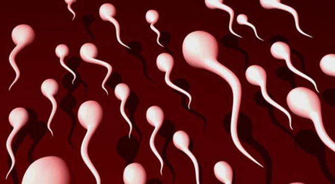 Dấu hiệu nhận biết đàn ông có tinh trùng khoẻ mạnh