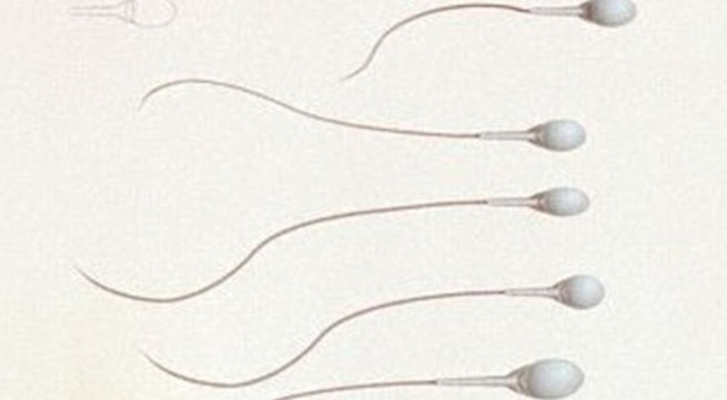 Sắp có thuốc tránh thai dành cho nam giới