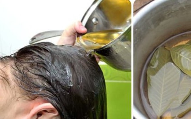 NHUỘM TÓC TẠI NHÀ BẰNG NƯỚC LÁ ỔI CHO MÁI TÓC ĐEN ÓNG BỀN MÀU