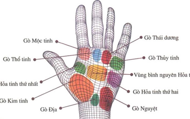 Tự xem số phận qua bàn tay: 9 gò trong lòng bàn tay