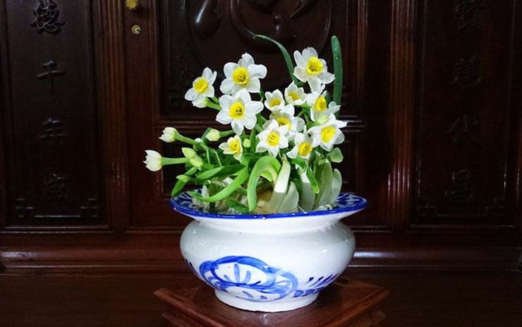 Cắt tỉa hoa thủy tiên