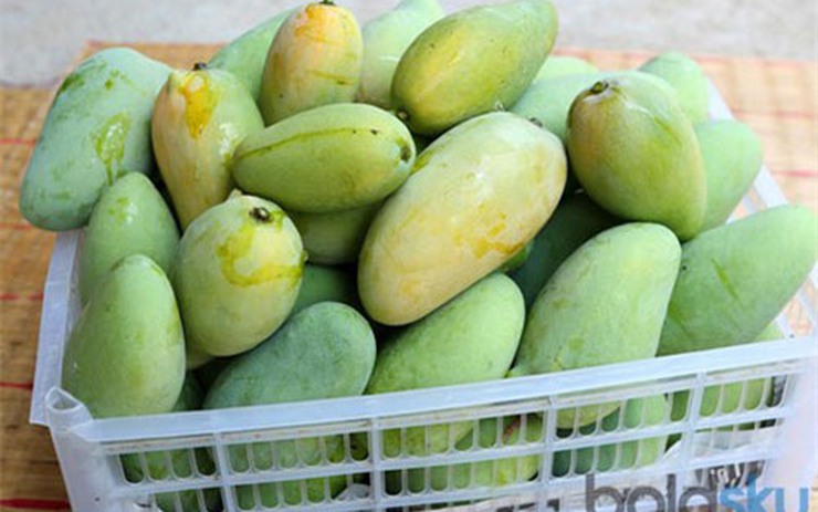 4. Tác dụng phụ khi ăn quá nhiều xoài xanh