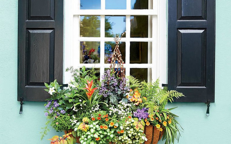 Trang trí cửa sổ xinh lung linh với cách tạo hộp hoa treo đầy ...