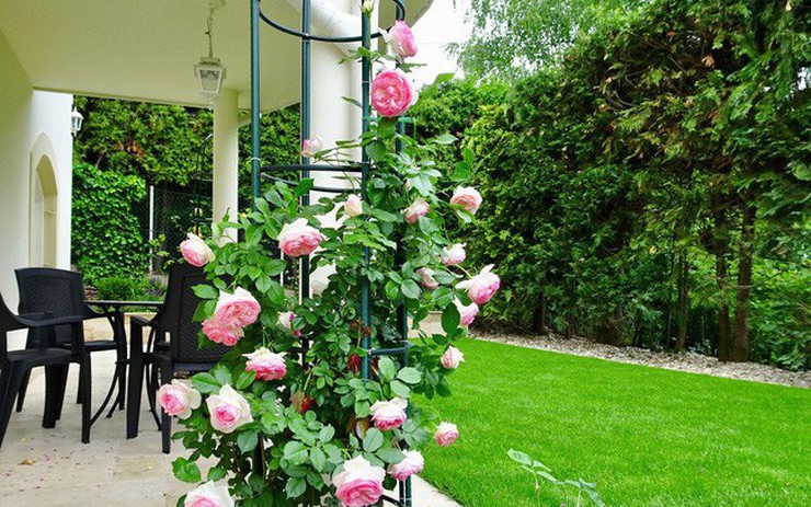 Ngôi nhà với khu vườn 600m² phủ kín các loại hoa đẹp như tranh vẽ ...