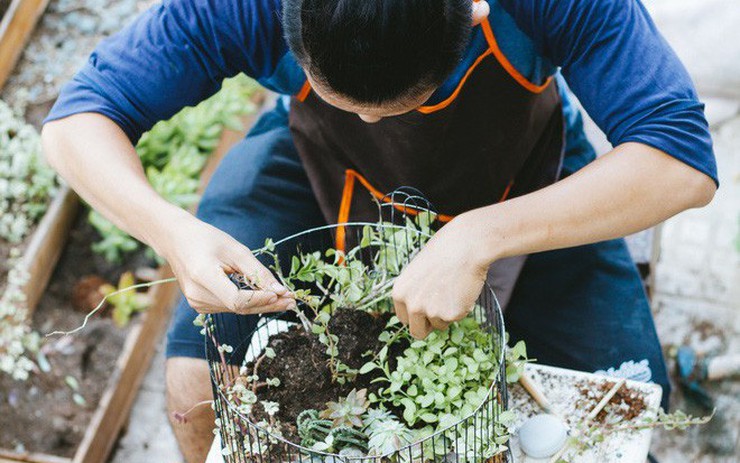 Khám phá thế giới thu nhỏ Lợi ích của tiểu cảnh terrarium