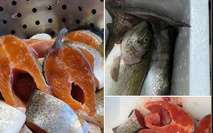 Cá Hồi Cắt Khoanh Đông Lạnh Organic