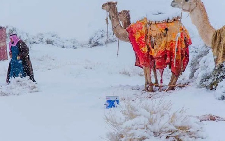 Tuyết phủ trắng sa mạc Sahara