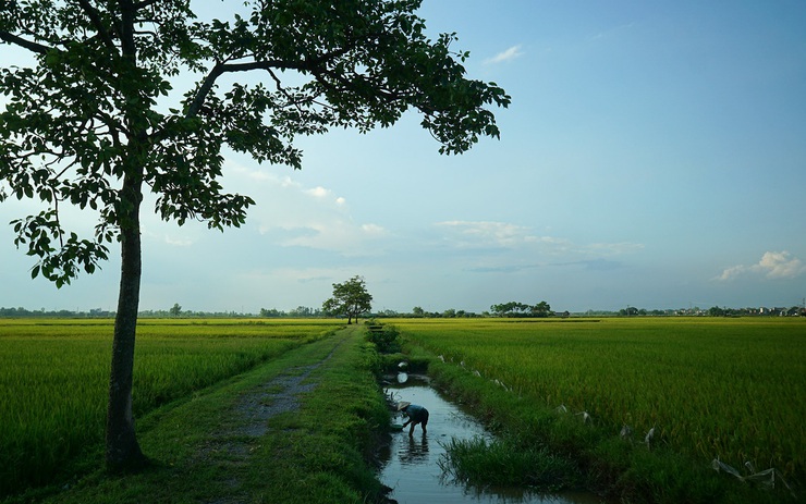 Hãy cùng chiêm ngưỡng những bức ảnh tuyệt đẹp về vùng quê yên bình, nơi có dòng sông êm đềm và những ngôi nhà gỗ truyền thống. Bạn sẽ được tận hưởng không khí trong lành, tình yêu thiên nhiên và cảm nhận được sự đơn giản, chân thật trong cuộc sống.