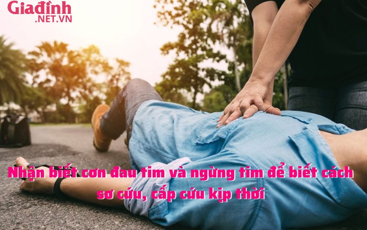 Nhận biết cơn đau tim và ngừng tim để biết cách sơ cứu, cấp cứu kịp thời