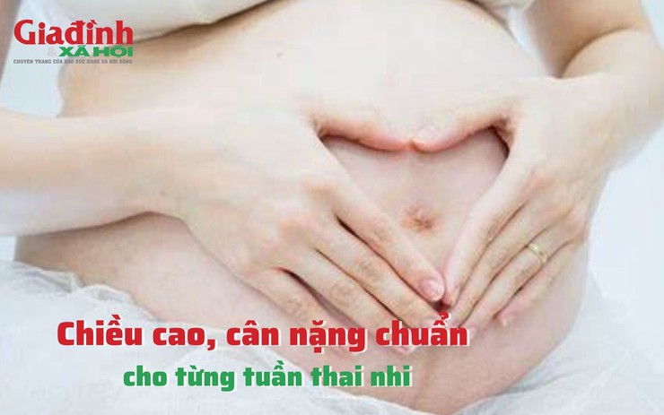Chiều cao, cân nặng chuẩn cho từng tuần thai nhi