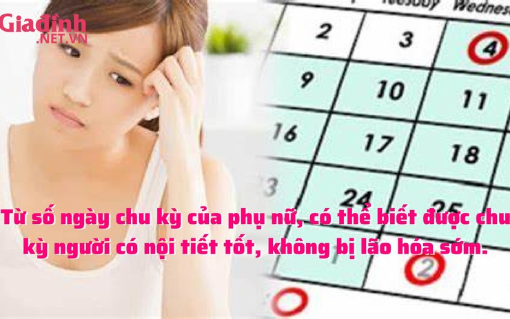 Từ số ngày chu kỳ của phụ nữ, có thể biết được chu kỳ người có nội tiết tốt, không bị lão hóa sớm