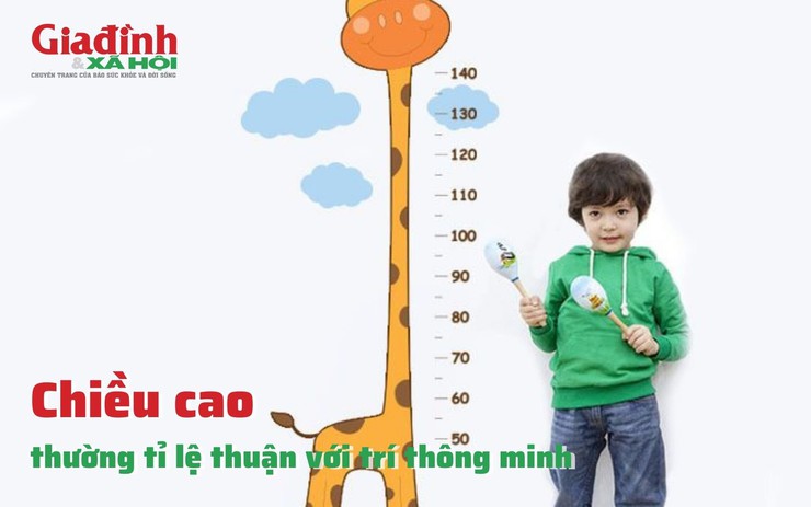 Chiều cao thường tỉ lệ thuận với trí thông minh 