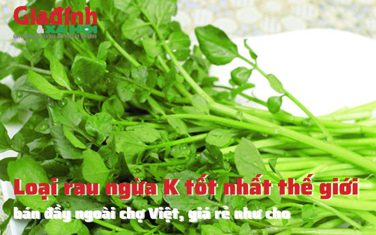 Loại rau ngừa K tốt nhất thế giới, bán đầy ngoài chợ Việt, giá rẻ như cho