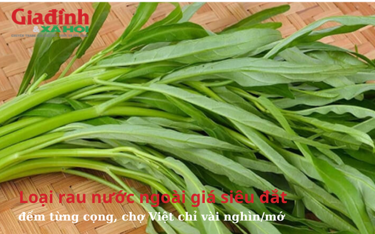 Loại rau nước ngoài giá siêu đắt, đếm từng cọng, chợ Việt chỉ vài nghìn/mớ 