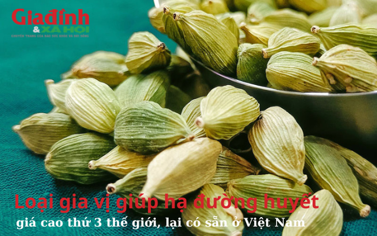 Loại gia vị giúp hạ đường huyết, giá cao thứ 3 thế giới, lại có sẵn ở Việt Nam