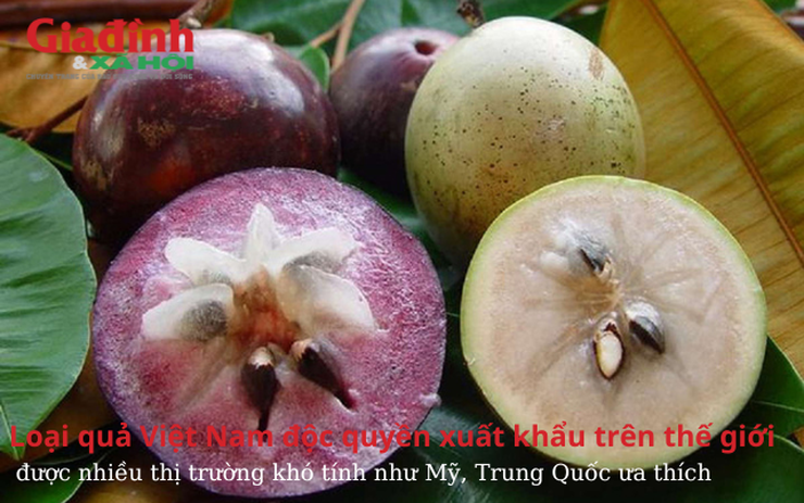 Loại quả Việt Nam độc quyền xuất khẩu trên thế giới, được nhiều thị trường khó tính như Mỹ, Trung Quốc ưa thích