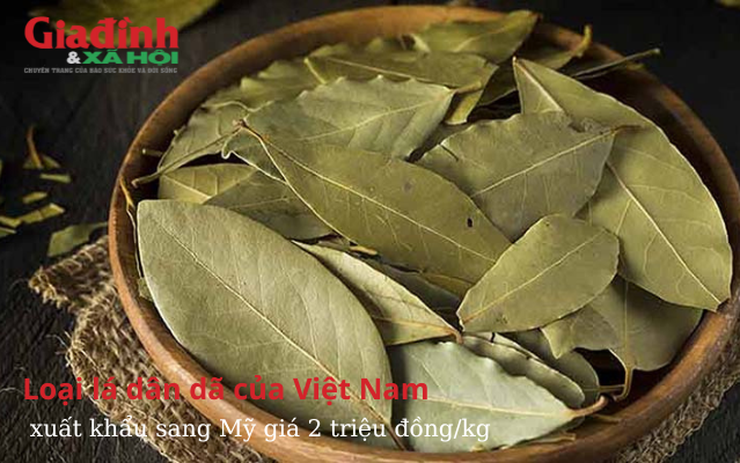 Loại lá dân dã của Việt Nam xuất khẩu sang Mỹ giá 2 triệu đồng/kg