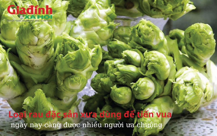 Loại rau đặc sản xưa dùng để tiến vua, ngày nay càng được nhiều người ưa chuộng