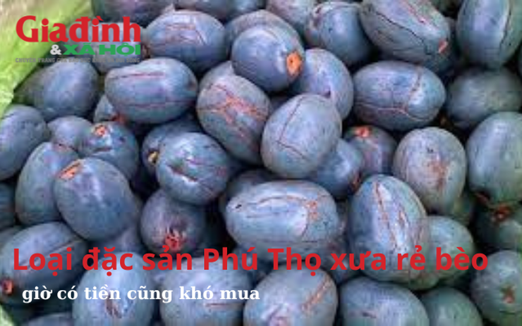 Loại đặc sản Phú Thọ xưa rẻ bèo, giờ có tiền cũng khó mua