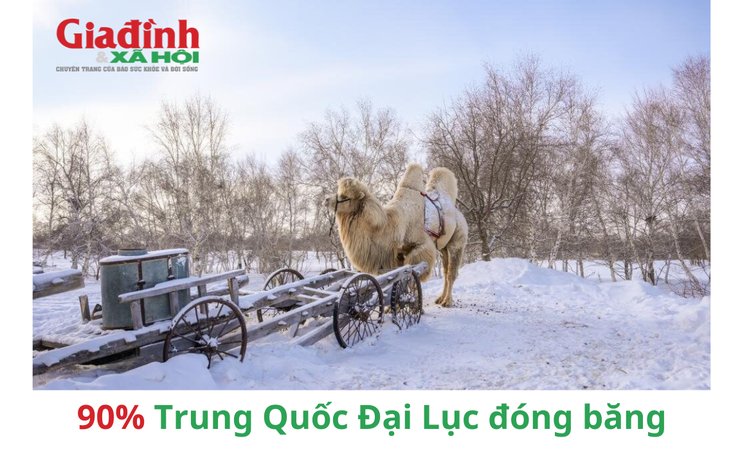 90% Trung Quốc Đại Lục đóng băng