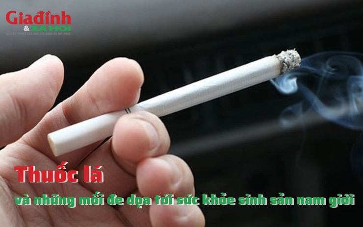 Thuốc lá và những mối đe dọa tới sức khỏe sinh sản nam giới