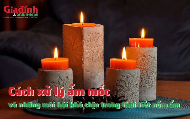 Cách xử lý ẩm mốc và những mùi hôi khó chịu trong thời tiết nồm ẩm
