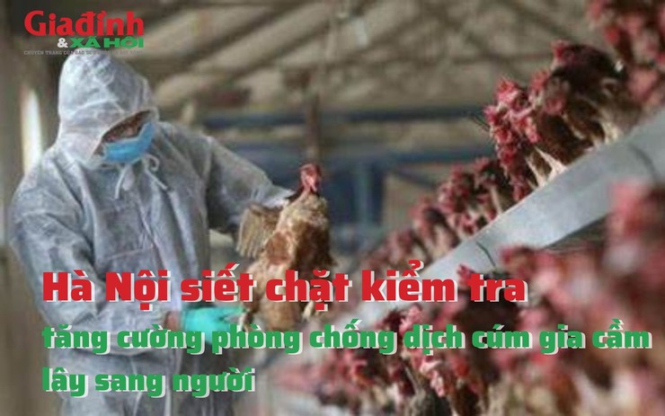Hà Nội siết chặt kiểm tra, tăng cường phòng chống dịch cúm gia cầm lây sang người