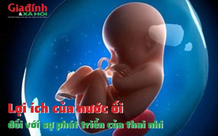 Lợi ích của nước ối đối với sự phát triển của thai nhi