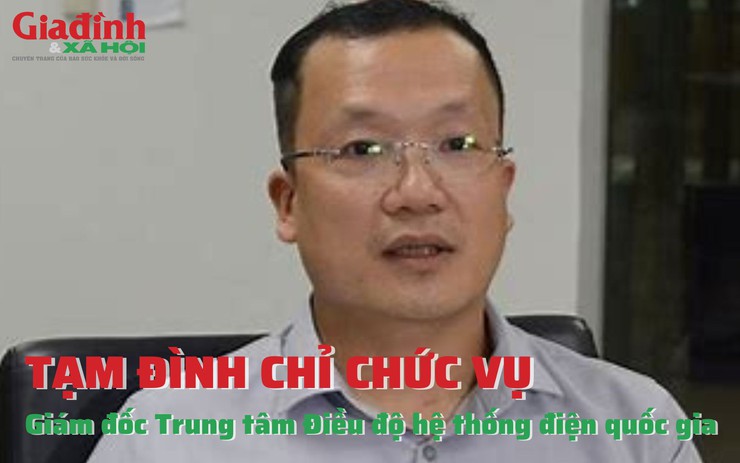 Giám đốc Trung tâm Điều độ hệ thống điện quốc gia bị tạm đình chỉ chức vụ