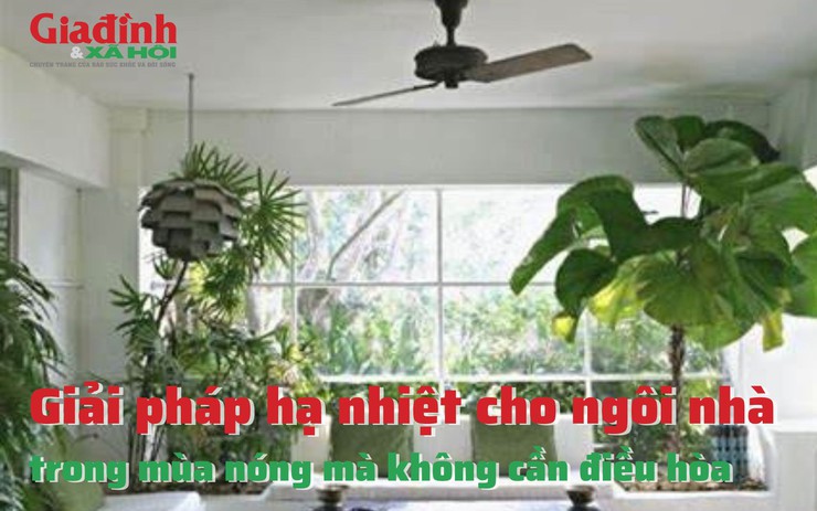 Giải pháp hạ nhiệt cho ngôi nhà trong mùa nóng mà không cần điều hòa