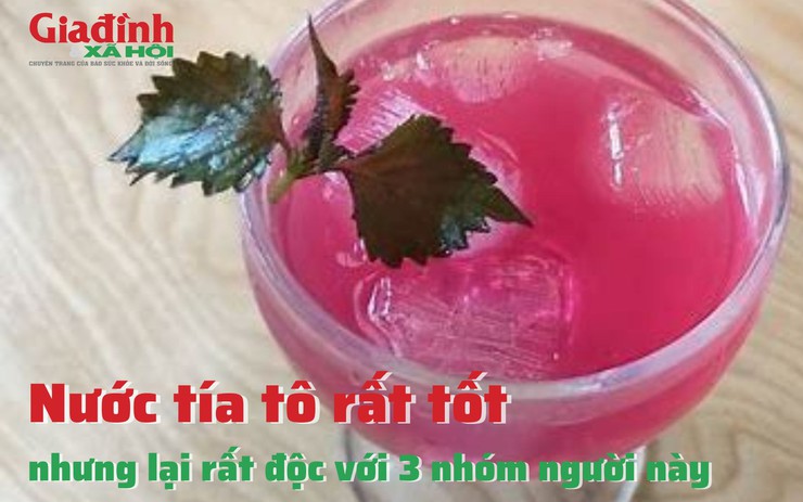 Nước tía tô rất tốt nhưng lại rất độc với 3 nhóm người này