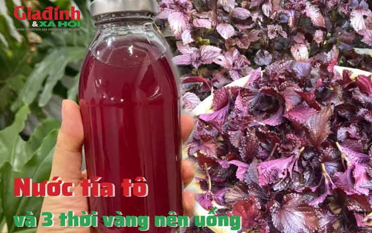 Nước tía tô và 3 thời vàng nên uống 